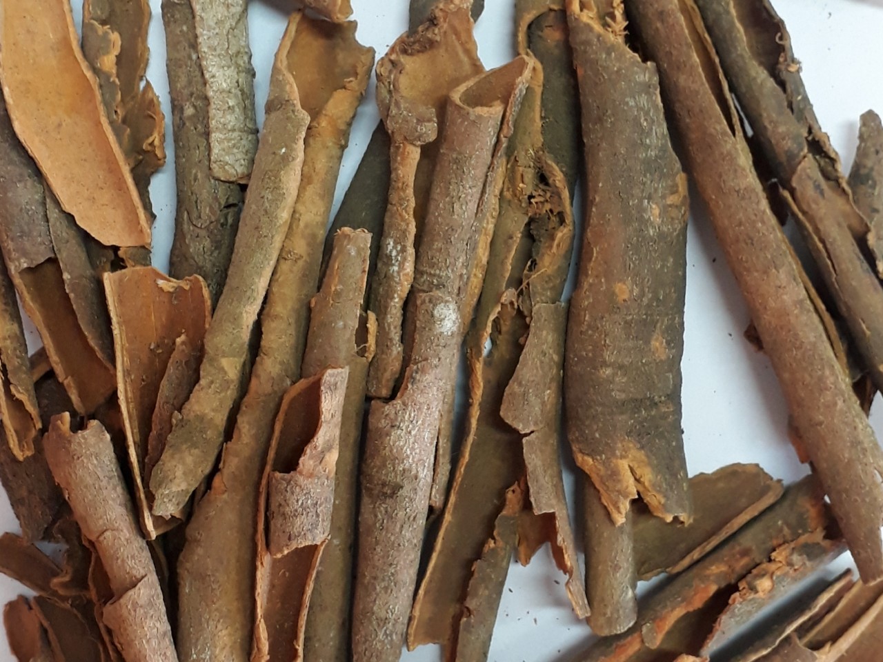VIETNAMESE STICK CASSIA BROKEN (CINNAMON)