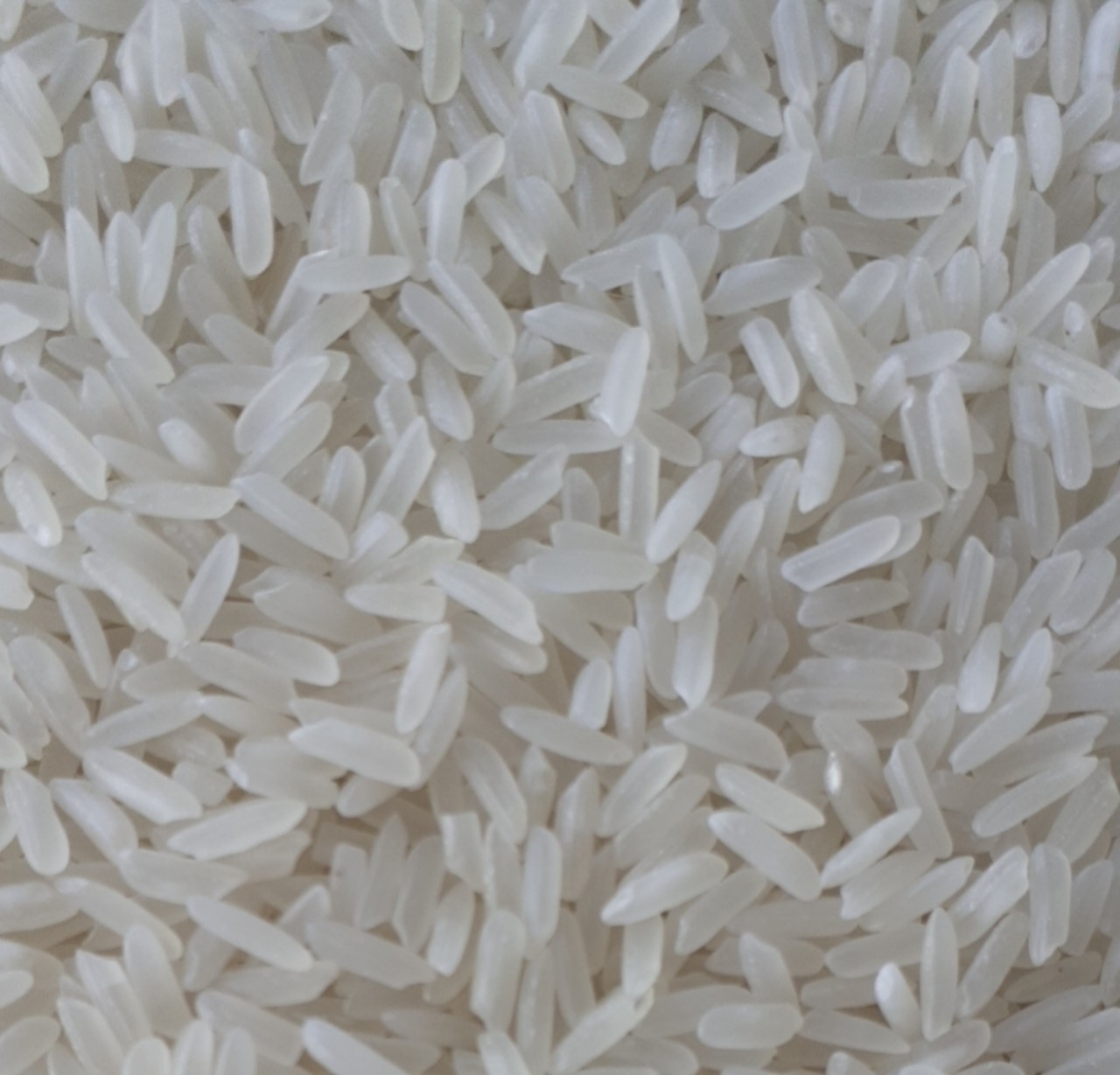 VIETNAM LONG GRAIN WHITE RICE GRADE 5451 5% BROKEN