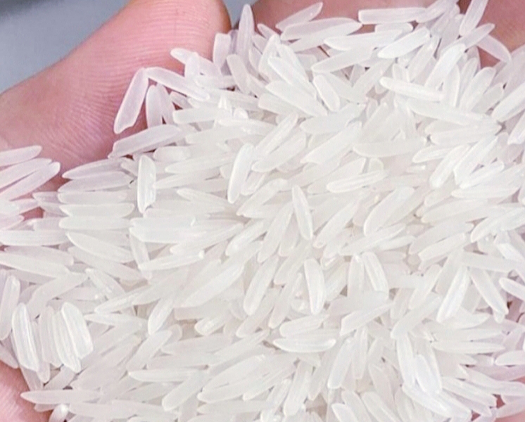 VIETNAM FRAGRANT RICE – GRADE ST25