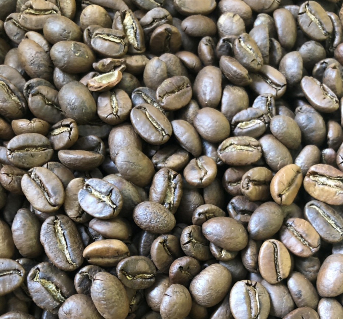 VIETNAM ROASTED ARABICA COFFEE BEANS GRADE PREMIUM