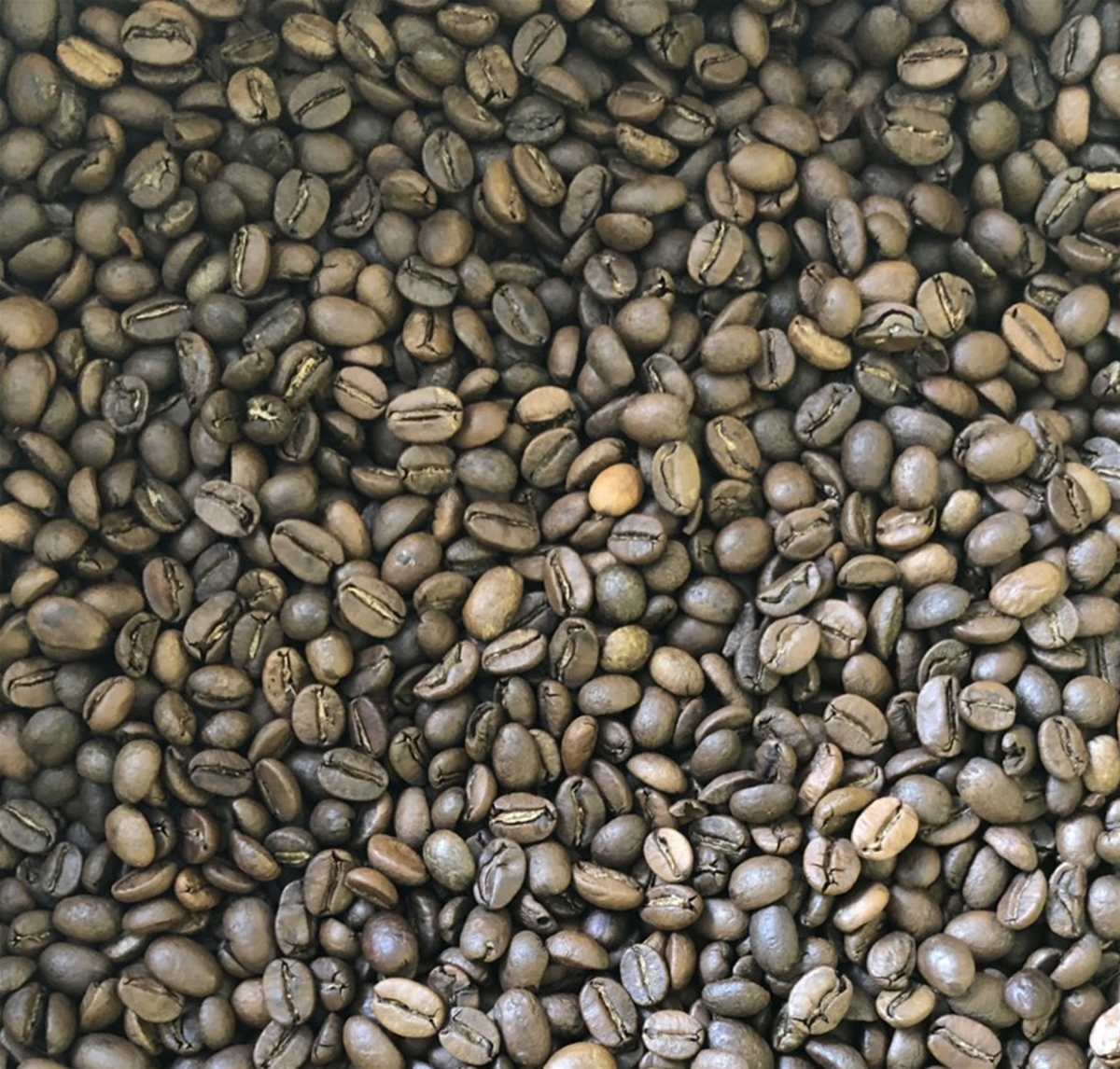 VIETNAM ROASTED COFFEE BEANS GRADE SPECIAL 3