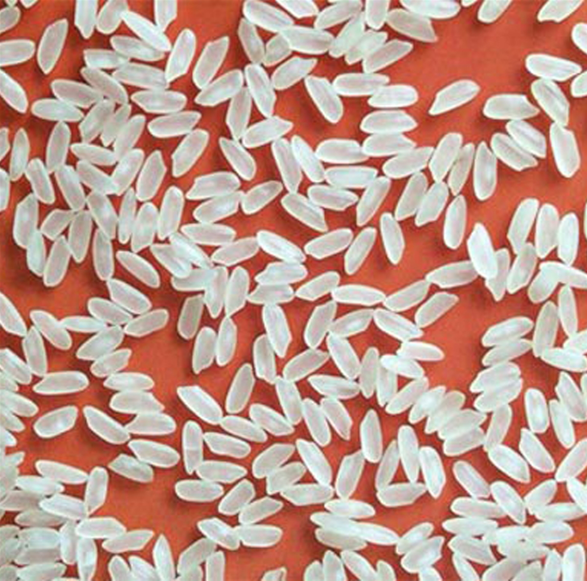 VIETNAM MEDIUM GRAIN RICE 5% BROKEN – GRADE A ( SOC MIENG RICE)