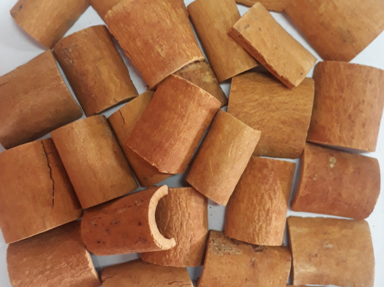 VIETNAMESE SQUARE CUT CASSIA (CINNAMON)