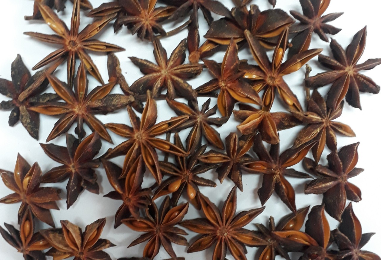 STAR ANISE