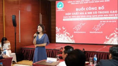 Phát hiện 2 hợp chất quý hơn vàng trong gạo hữu cơ Quảng Trị