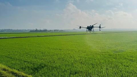 Cách quản lý nguồn nguyên liệu
